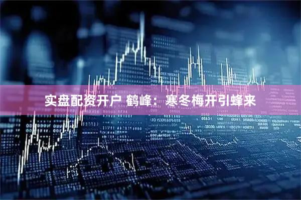 实盘配资开户 鹤峰：寒冬梅开引蜂来