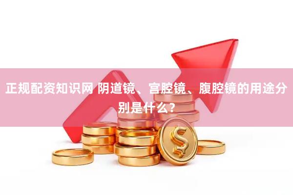 正规配资知识网 阴道镜、宫腔镜、腹腔镜的用途分别是什么？