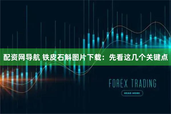 配资网导航 铁皮石斛图片下载：先看这几个关键点